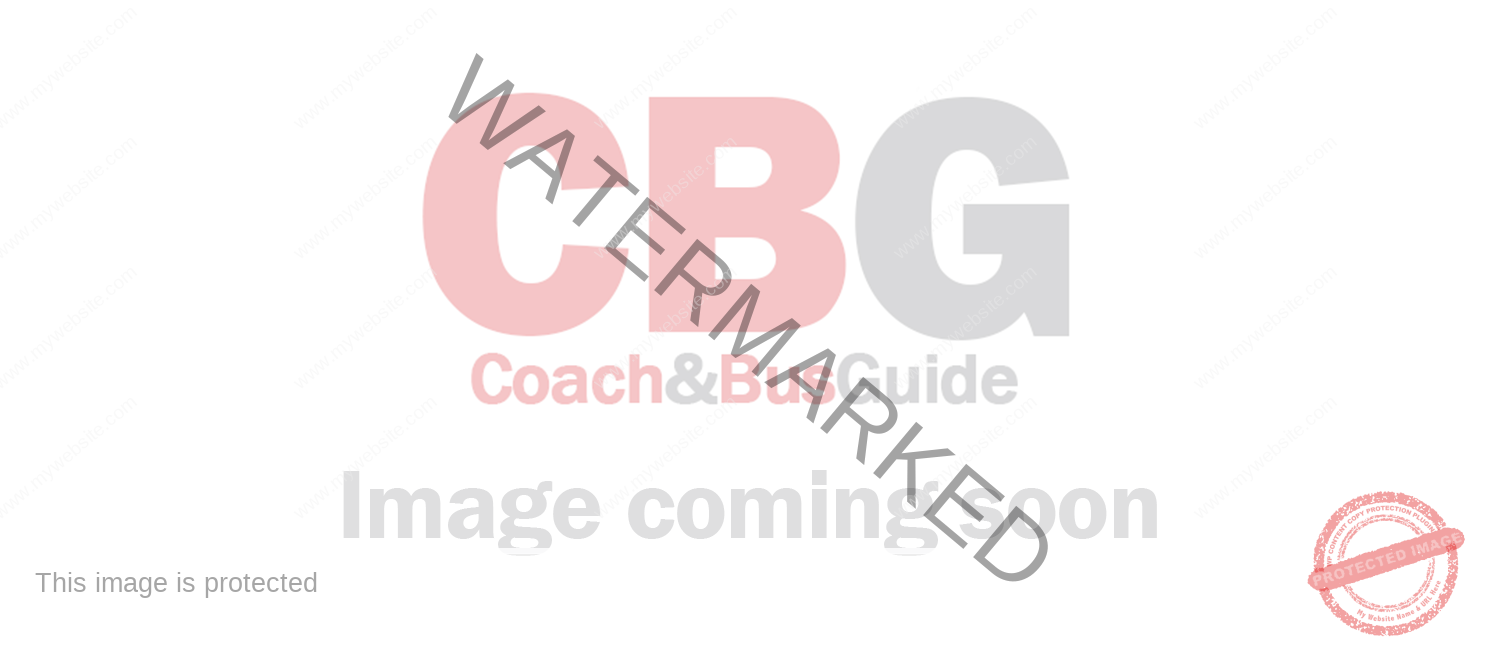 Image coming soon